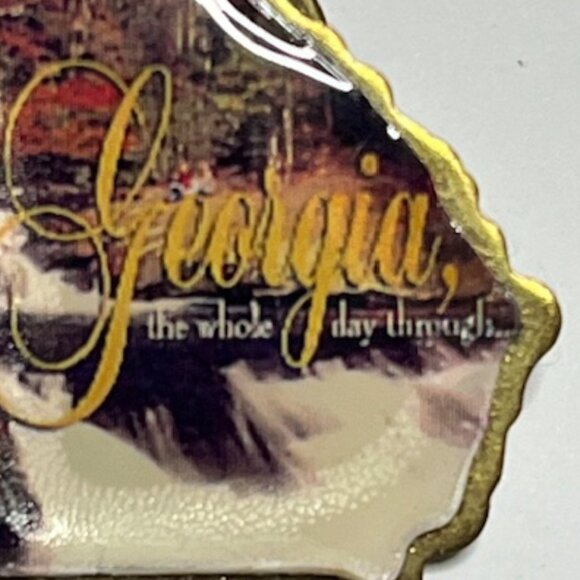 VTG Georgia The Whole Day Through 1996 Limited Edition Glossy Lapel Hat Pin - Picture 4 of 9
